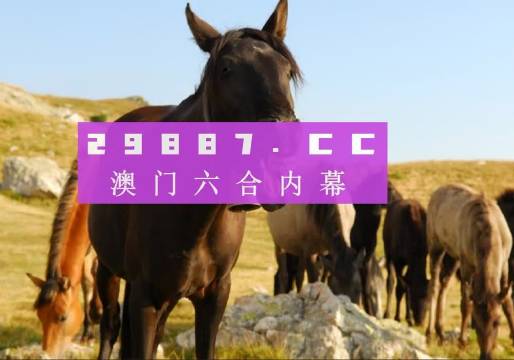 2023澳门和香港管家婆资料正版大全|词语释义解释落实